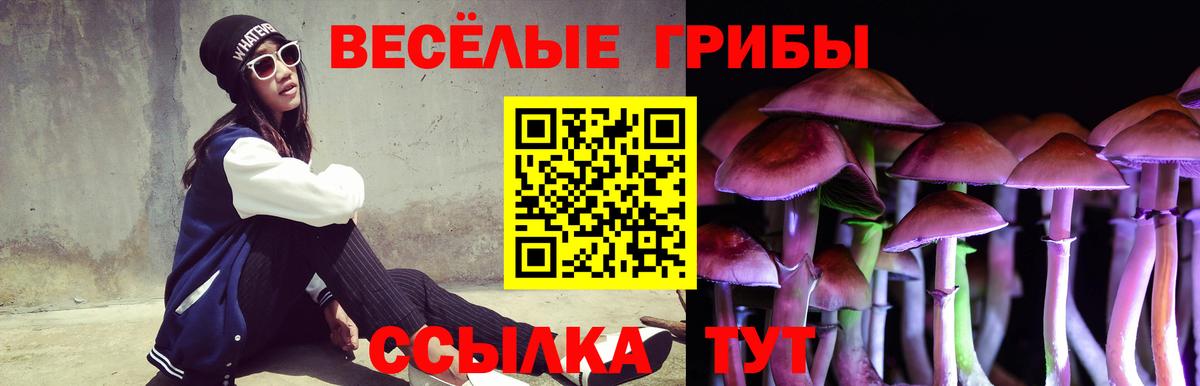 Екатеринбург  даркнет сайт  Вход с VPN  Псилоцибиновые грибы Psilocybine cubensis 