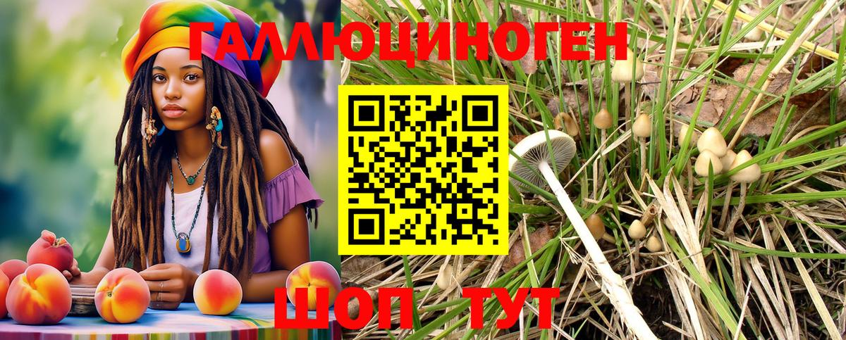 Псилоцибиновые грибы GOLDEN TEACHER Екатеринбург